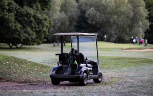 Who makes trailmaster golf carts
